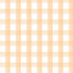 Watercolor Gingham — Apricot