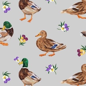ducks and pansies