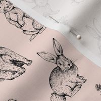 Sketch Bunnies / Soft Pink
