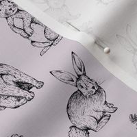 Sketch Bunnies / Lavender