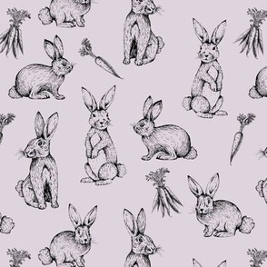 Cute bunny animal character isolated  Stock Illustration 86240362   PIXTA