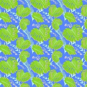 Blue Monstera