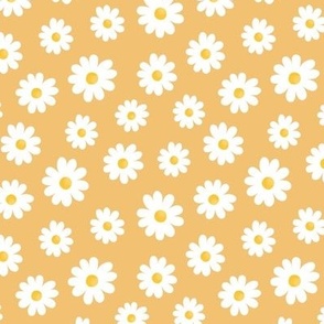 White Daisy Flowers without outline on apricot - small scale