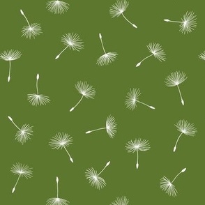 Dandelion Seeds leaf - small scale