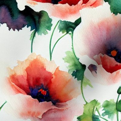 Watercolor Poppy