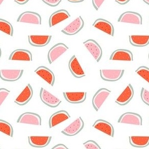 Red and pink watermelon slice with bones 2
