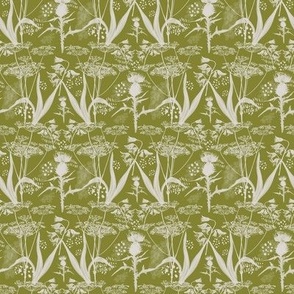 hedgerow moss olive green