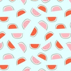 Red and pink watermelon slice with bones 9