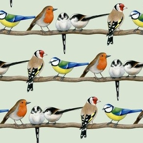 British Garden Birds on willow - medium scale