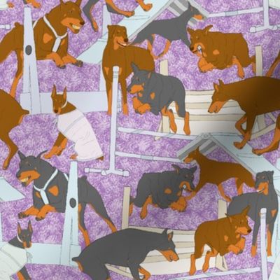 Versatile Dobermans - purple