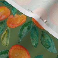 Watercolor Oranges // Greenery