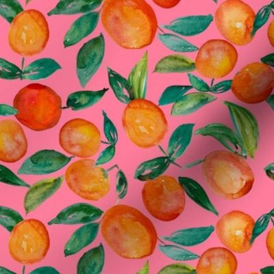 Watercolor Oranges // Papaya