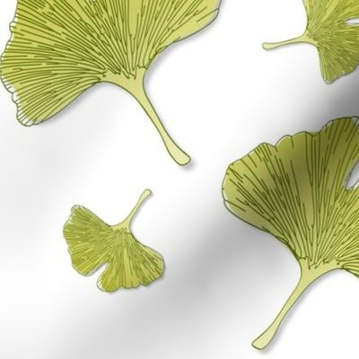 Ginkgo Leaves