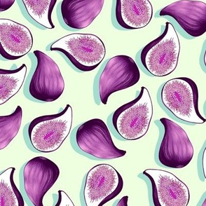 Fruits of figs, Medium scale, Violet on a light green background