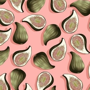 Fruits of figs, Medium scale, Khaki on a coral background