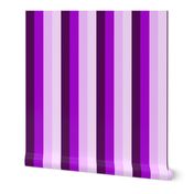 Purple Stripes