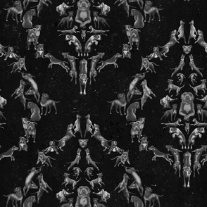 Pitbull Damask - Grey/Black - wallpaper size