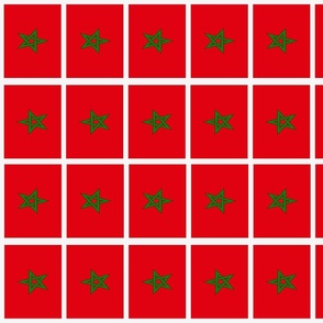 Moroccan flag