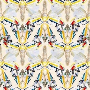 Picasso Moth Abstract Wing pattern