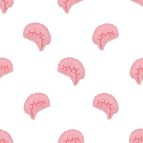 brains big white background