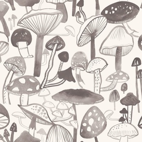 Grey skies and Mushrooms