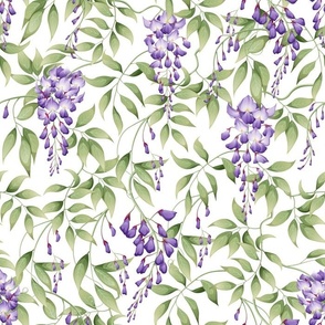 Watercolor Lilac Wisteria Flower Vines on White