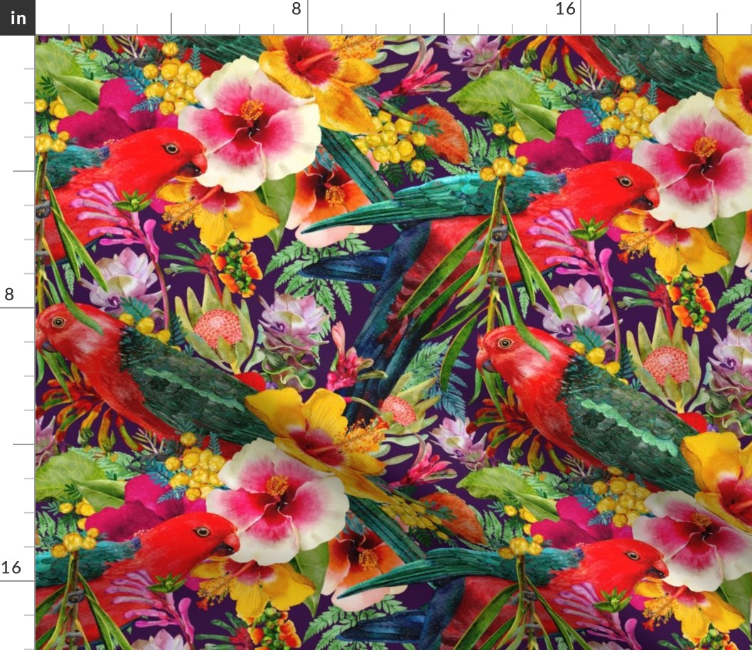 Australian King Parrot Pattern