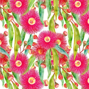 Pink Gum Tree Blooms Pattern
