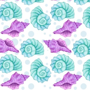 Shells in Purple & Blue on White Background