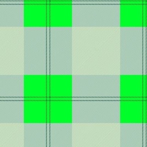 Pastel basic fat check design trendy tartan plaid texture st paddies neon green with forest green detailing