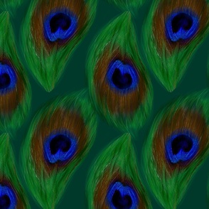 Peacock feathers,birds,abstract 