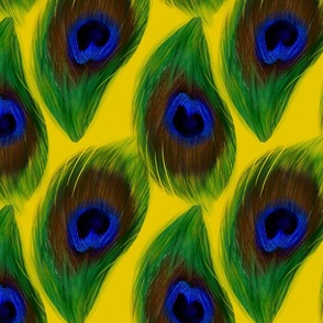 Peacock feathers,birds,abstract 