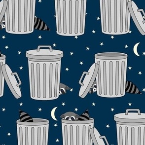 trash pandas on night sky