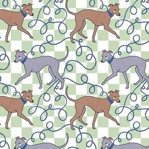 Whippet Walks, Sage and White Checkers, Large
