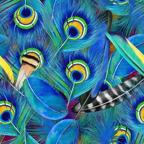 peacock-feathers-watercolorsplash