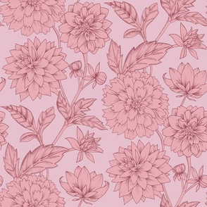 Dahlia Blooms - Pink Milkshake