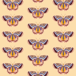 Geo Butterfly Multi Color Rainbow Design on Cream Background Medium Scale 