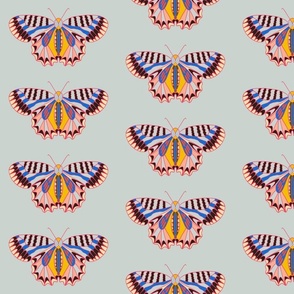 Geo Butterfly Multi Color Rainbow Design on Sky Blue Background Large Scale 