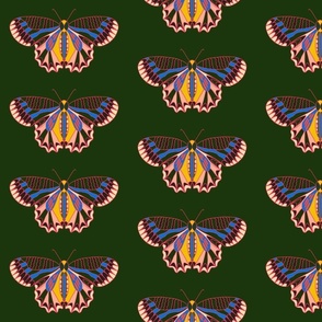 Geo Butterfly Multi Color Rainbow Design on Forest Green Background Large Scale 