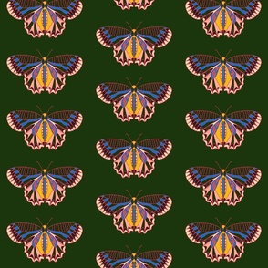 Geo Butterfly Multi Color Rainbow Design on Forest Green Background Medium Scale 