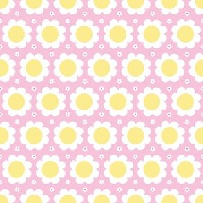 plain daisy on light pink medium