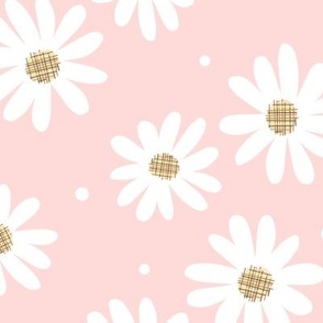 Daisy Flowers (pink petal)