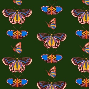 Geo Butterflies Multi Color Rainbow Design on Forest Green 