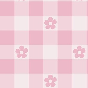 Baby Pink Gingham Floral