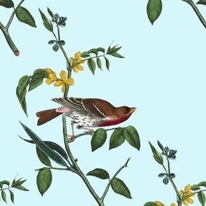 Vintage Victorian Finches on Branches #1
