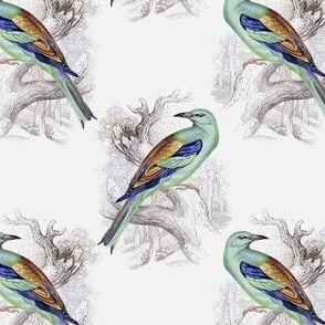 Vintage Victorian Tropical Birds on Branches