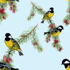 Vintage Victorian Yellow-Bellied Tits on Branches