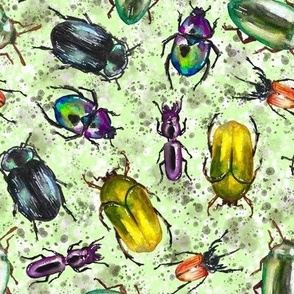 Watercolor Beetle Bop, Lime Gren