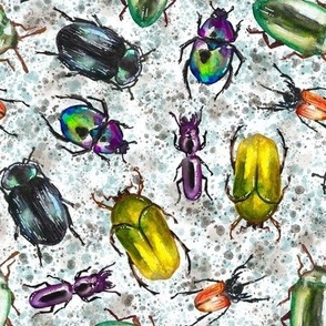 Watercolor Beetle Bop, Grey & Aqua