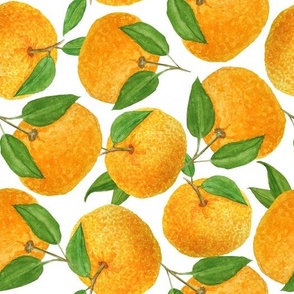 Orange Citrus on White Background